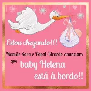 Anúncio de Gravidez Menina com Cegonha para Editar Online