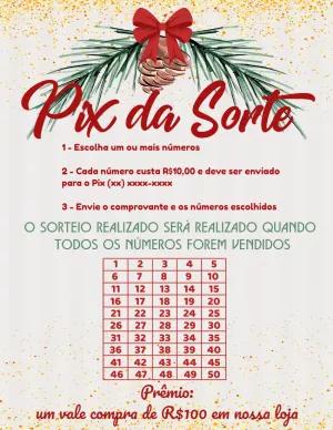 Cartela Rifa de Natal Pix da Sorte para Editar Online
