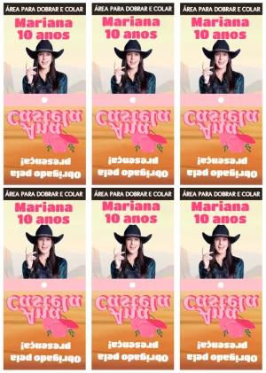 Capa para Pirulito Festa Boiadeira para Editar Online