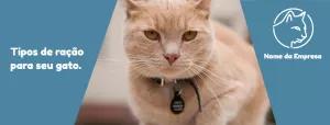 Banner Editável de Pet Shop com Gato para Editar Online